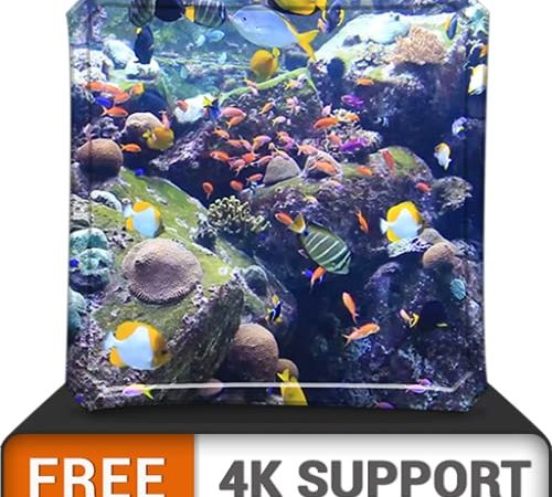 aquarium HD de beauté aquatique gratuit - décorez votre chambre avec un magnifique aquarium de vie marine sur votre téléviseur HDR 4K 8K et des dispositifs d'incendie comme fond d'écran, décoration po