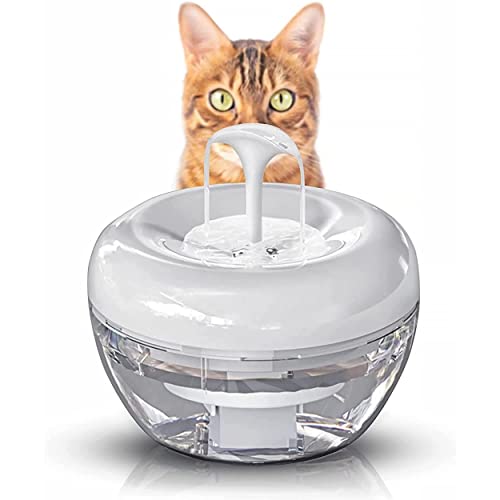 Meilleur fontaine à eau pour chat en 2022 [Basé sur 50 avis d’experts]