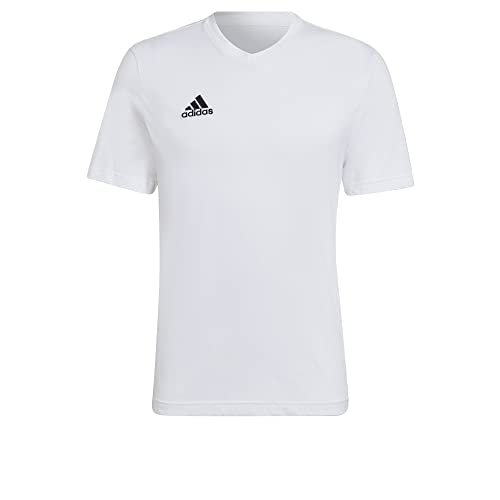 Meilleur tee shirt homme en 2024 [Basé sur 50 avis d’experts]