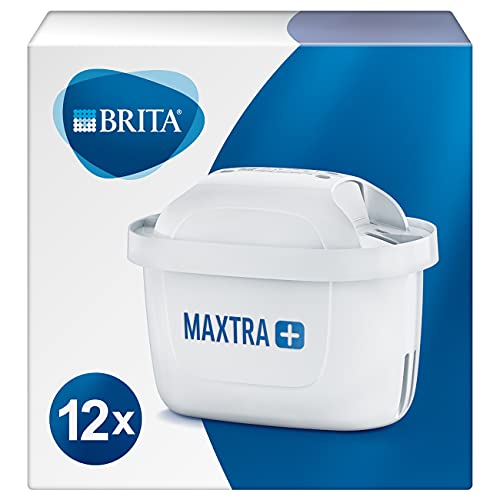 Meilleur brita en 2024 [Basé sur 50 avis d’experts]