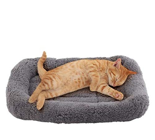 Namsan Lit de Chat Panier pour Chat Chiot Lavable Coussin Chat Doux et Confortable pour Petit Chien/Petit Chat/Lapin - 42 CM x 28 CM - Gris