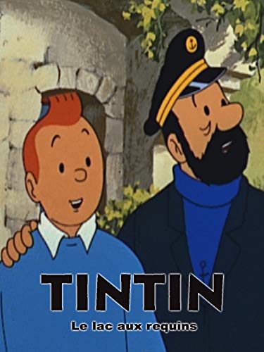 30 Meilleur tintin en 2024 [Basé sur 50 avis d’experts]