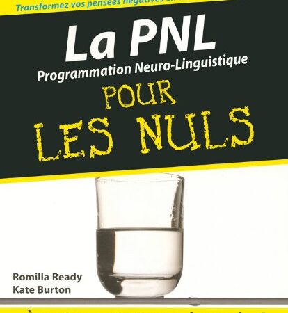 La PNL pour les Nuls