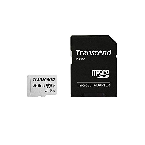 30 Meilleur carte micro sd 256 go en 2024 [Basé sur 50 avis d’experts]